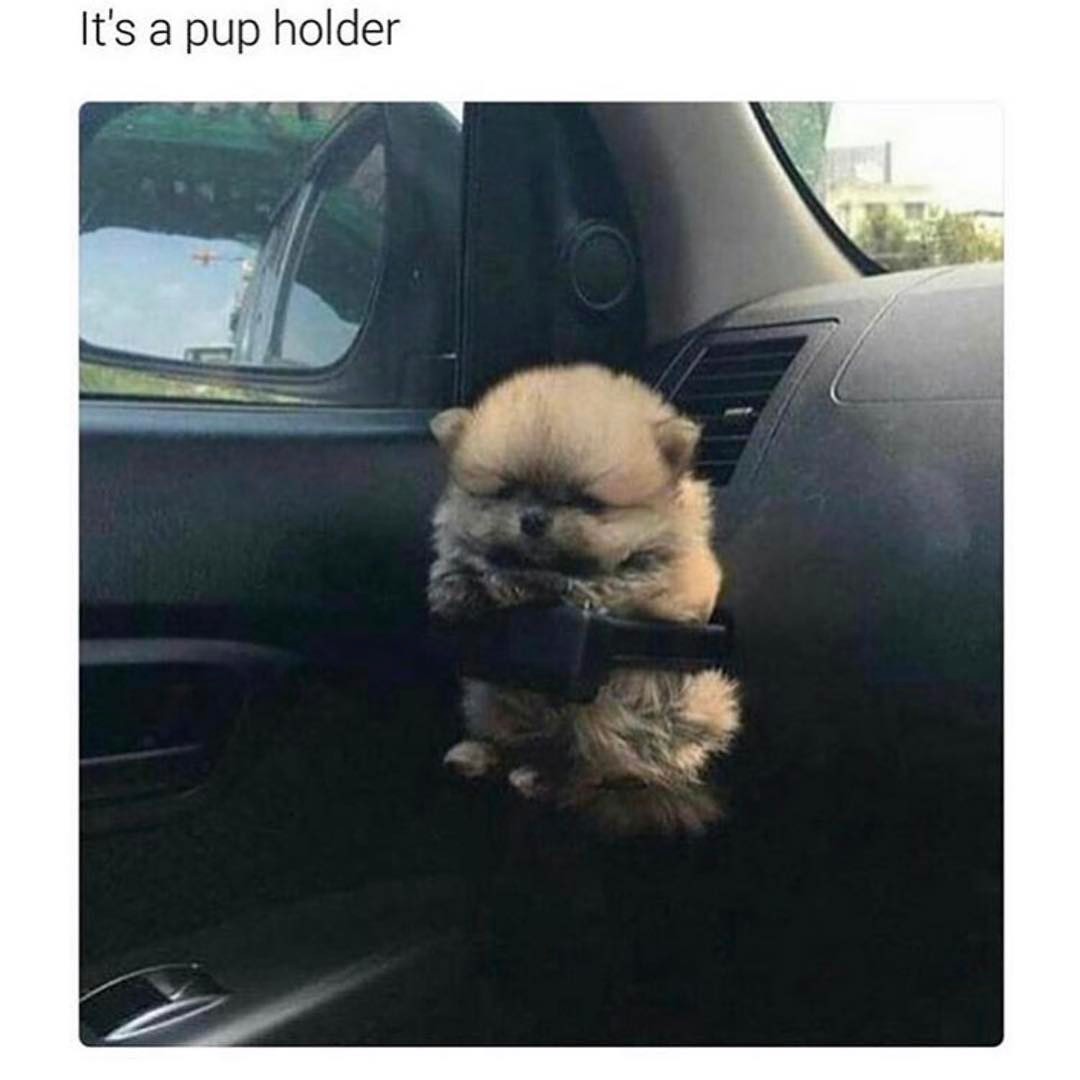 It's a pup holder.