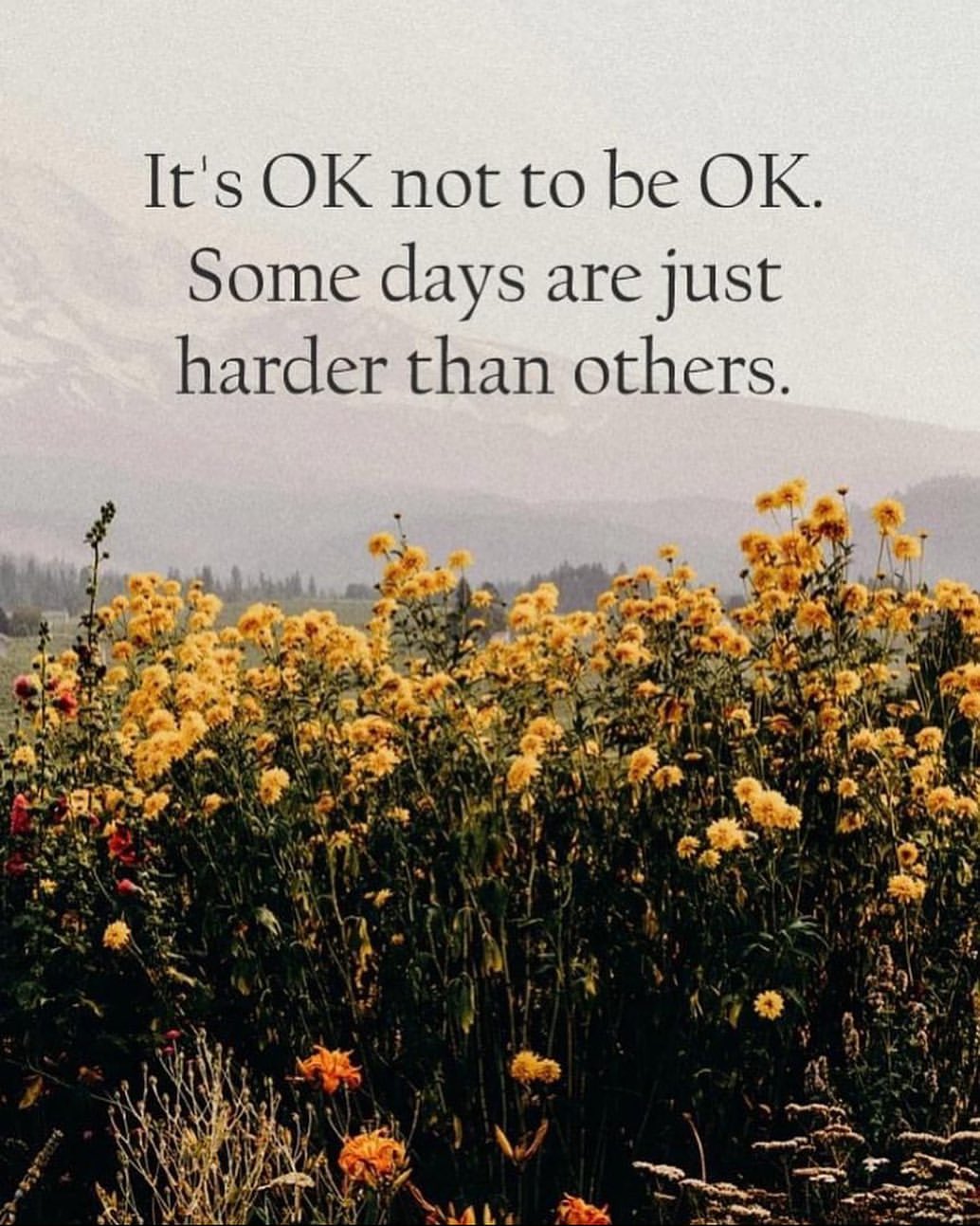 It's ok not to be ok. Some days are just harder than others. - Phrases