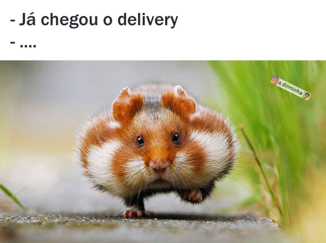 Já chegou o delivery...