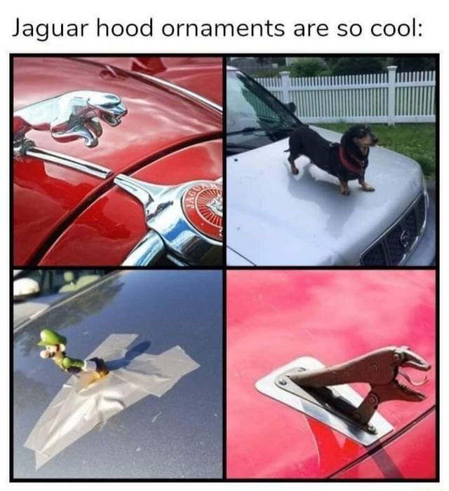 Jaguar hood ornaments are so cool: