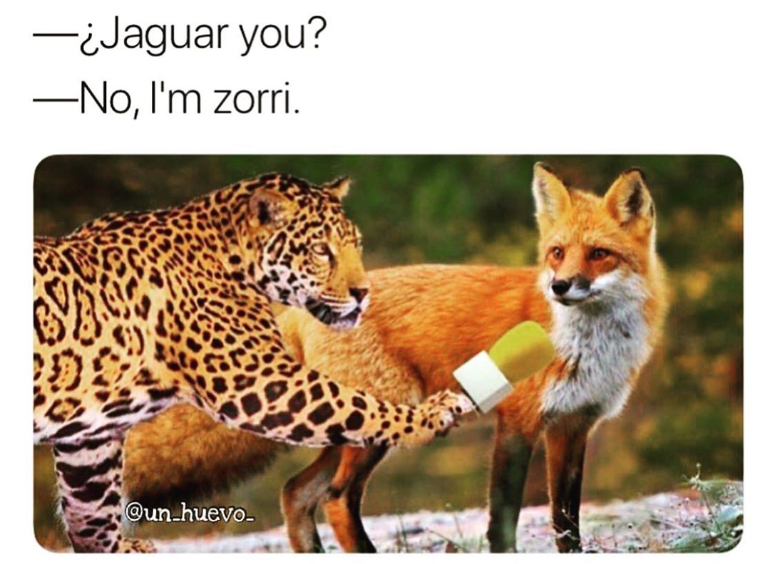¿Jaguar you?  No, I'm zorri.