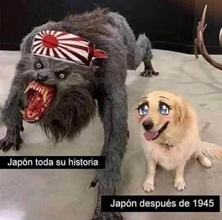 Japón toda su historia. Japón después de 1945.