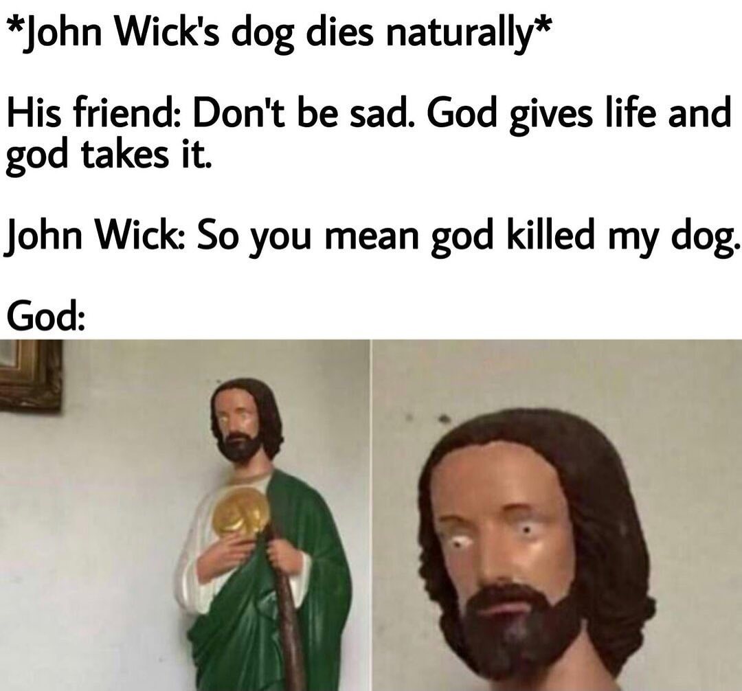 *John Wick's dog dies naturally*  His friend: Don't be sad. God gives life and god takes it.  John Wick: So you mean god killed my dog.  God: