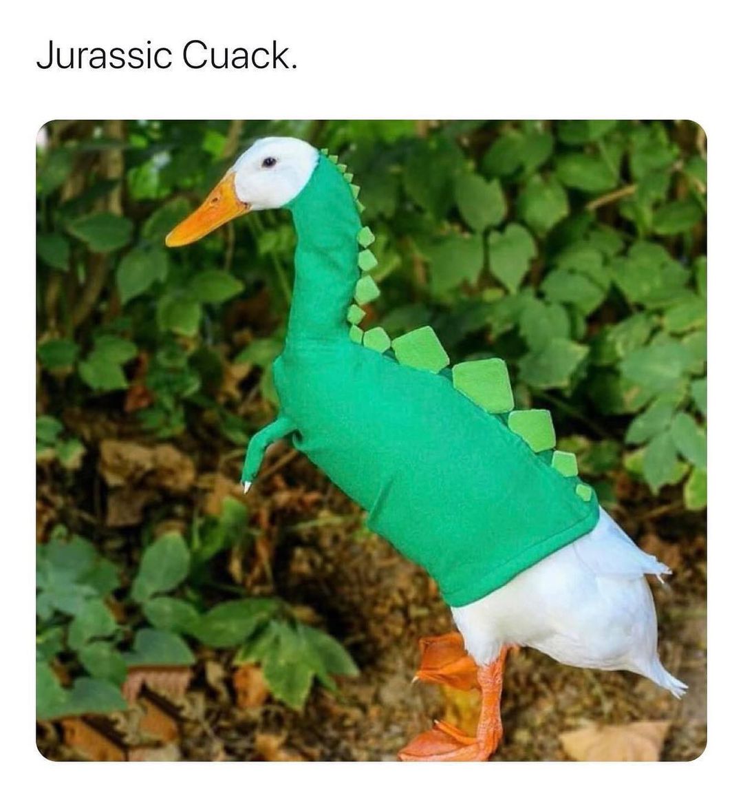 Jurassic Cuack.