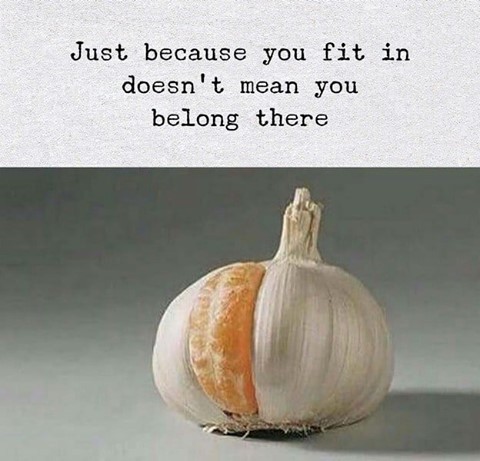 Just because you fit. in doesn't mean you belong there.