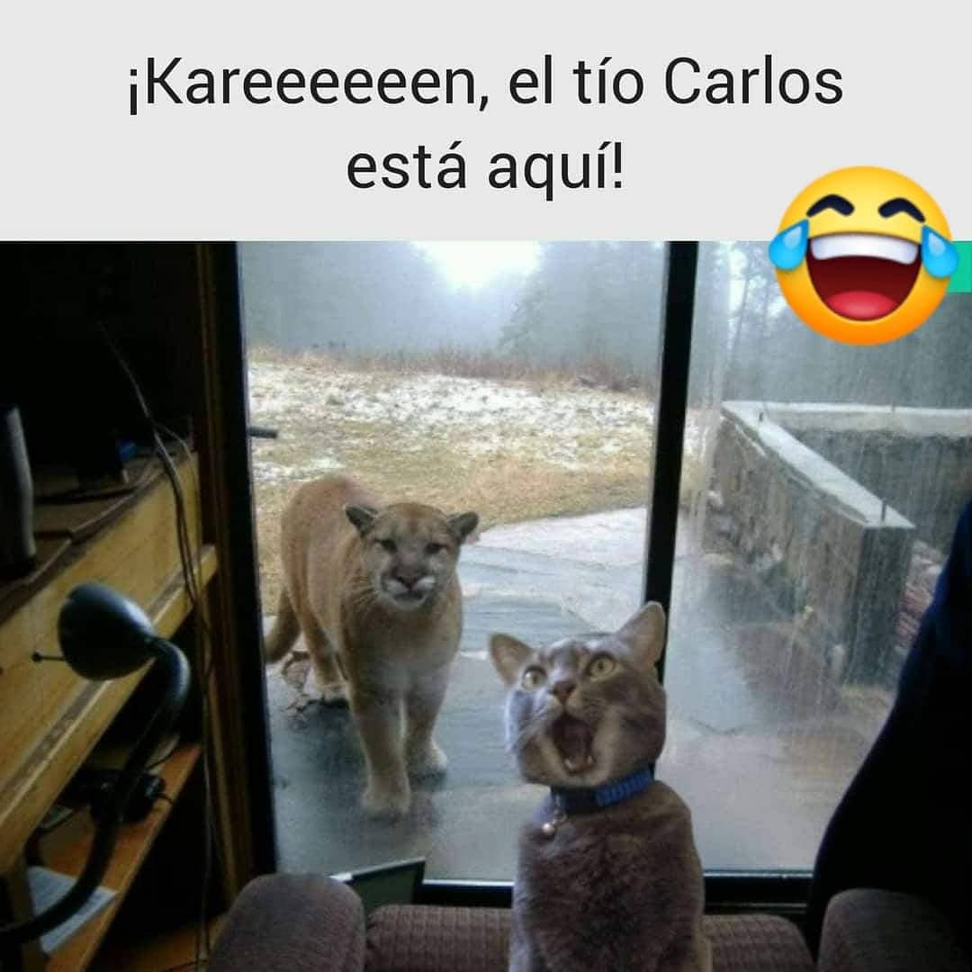 ¡Kareeeeeen, tío Carlos está aquí!