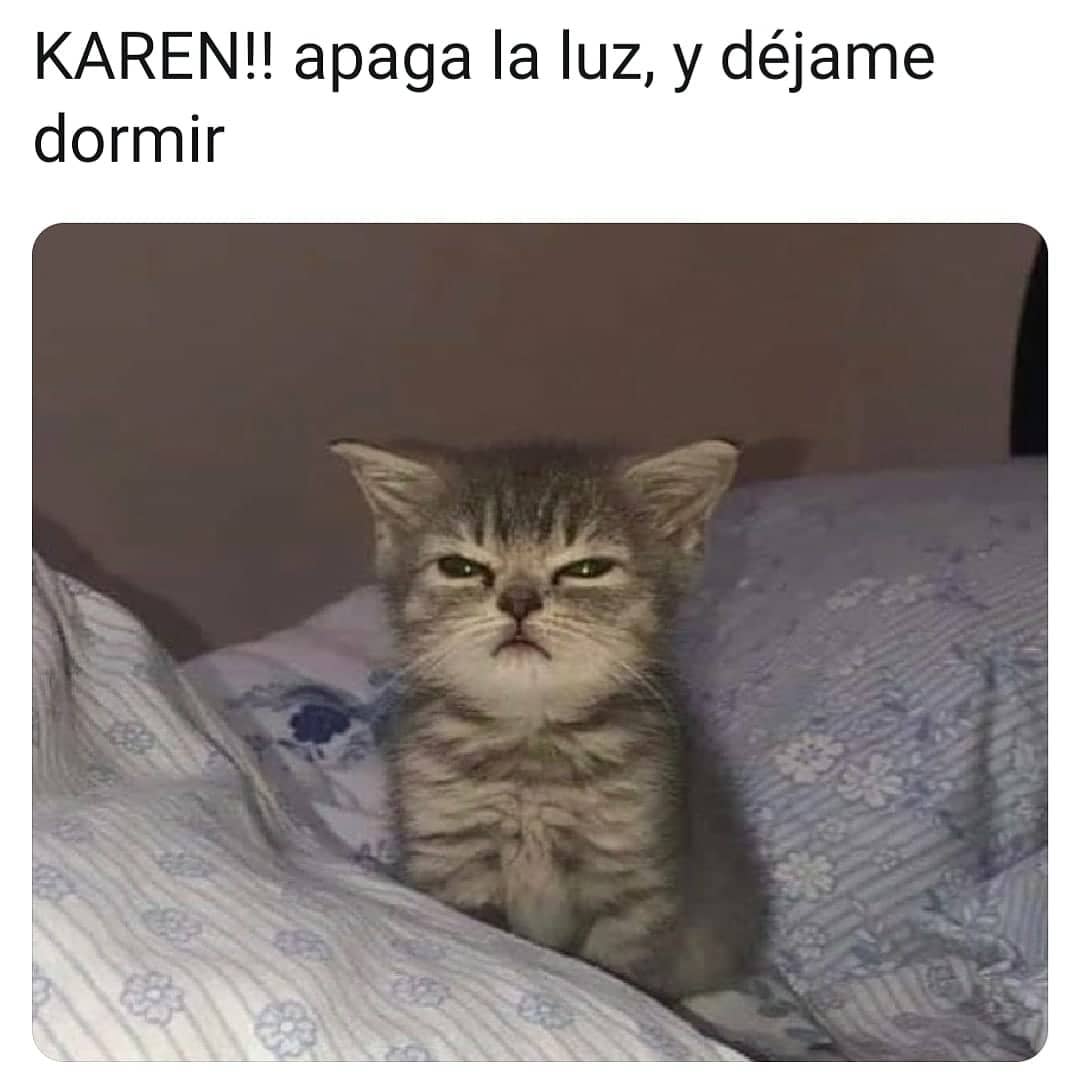 Karen!! apaga la luz y déjame dormir.