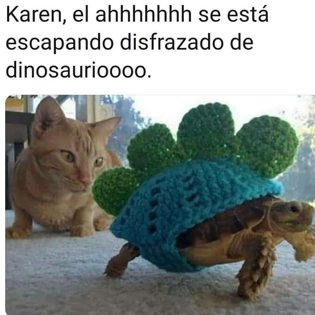 Karen, el ahhhhhhh se está escapando disfrazado de dinosaurioooo.