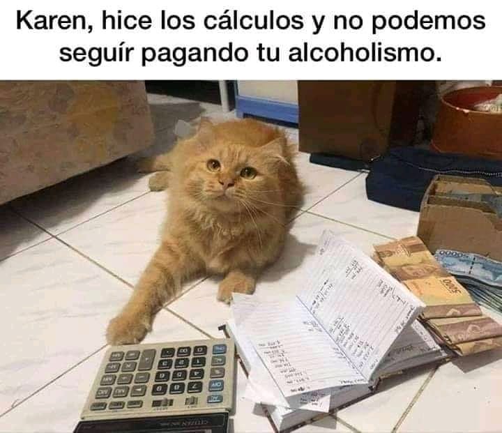 Karen, hice los cálculos y no podemos seguir pagando tu alcoholismo.