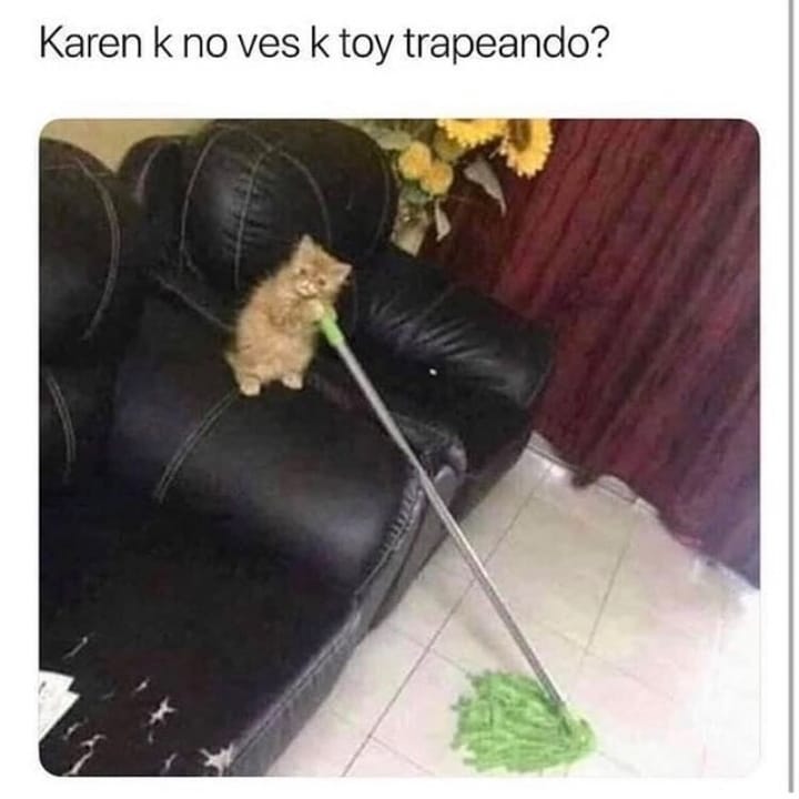 Karen k no ves k toy trapeando?
