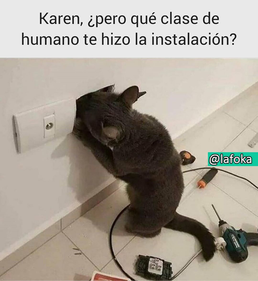 Karen, ¿pero qué clase de humano te hizo la instalación?