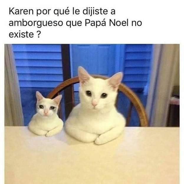 Karen por qué le dijiste a amborgueso que Papá Noel no existe?