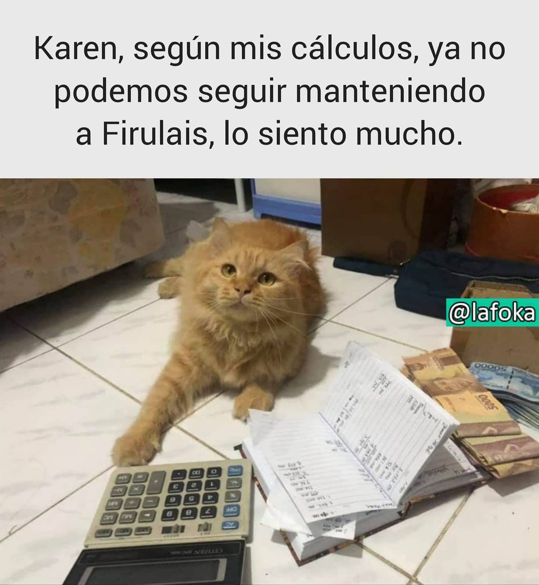 Karen, según mis cálculos, ya no podemos seguir manteniendo a Firulais, lo siento mucho.