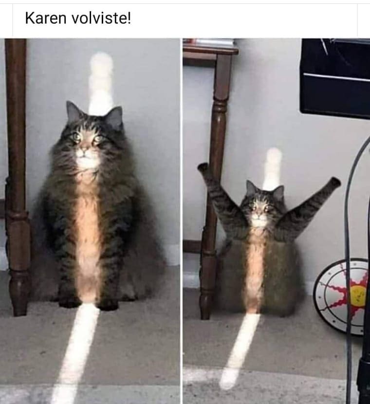 Karen volviste!