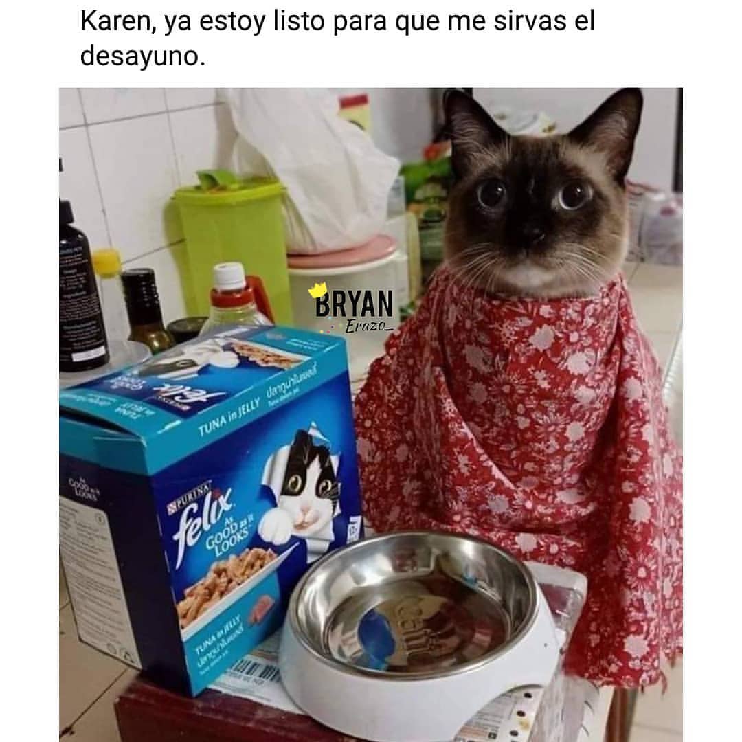 Karen, ya estoy listo para que me sirvas el desayuno.