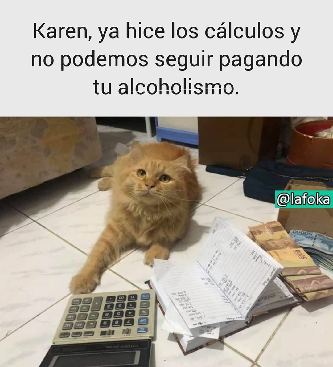 Karen, ya hice los cálculos y no podemos seguir pagando tu alcoholismo.