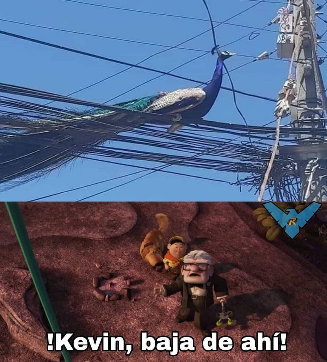 ¡Kevin, baja de ahí!