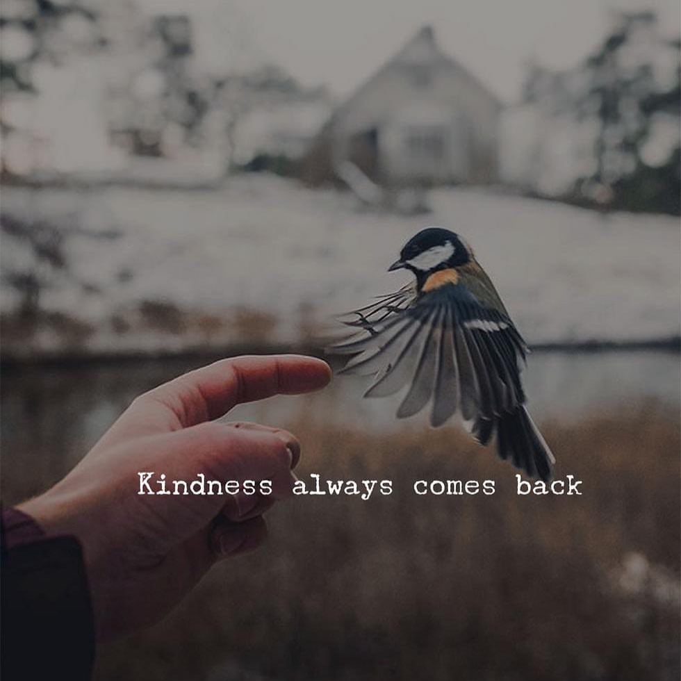 Kindness always comes back.