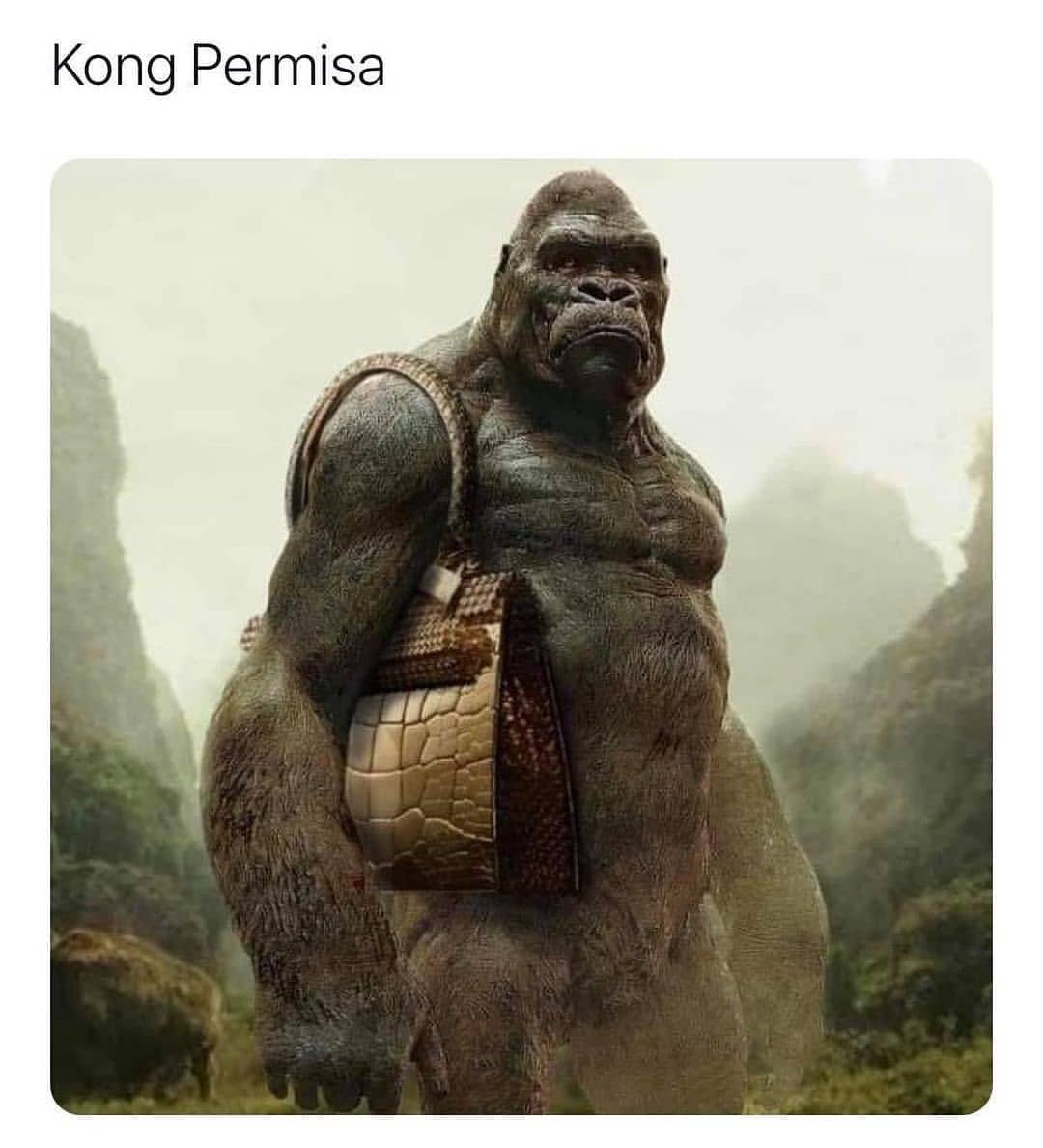 Kong Permisa.
