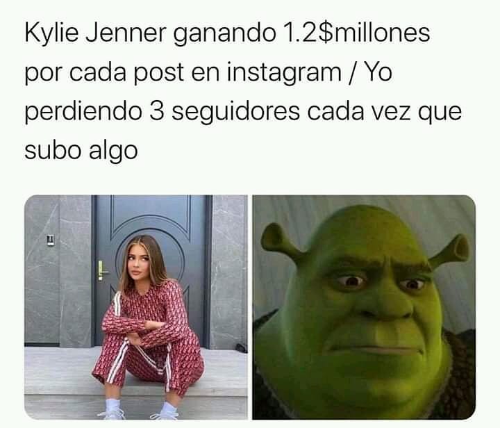Kylie Jenner ganando 1.2$millones por cada post en Instagram. / Yo perdiendo 3 seguidores cada vez que publico algo.