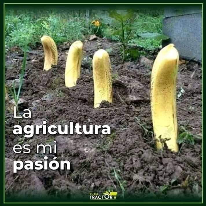 La agricultura es mi pasión.