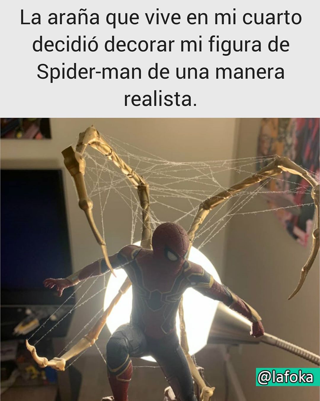 La araña que vive en mi cuarto decidió decorar mi figura de Spider-Man de una manera realista.