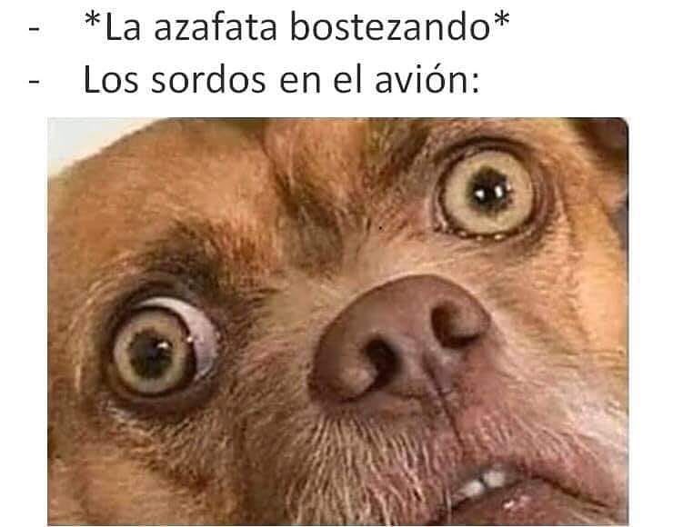 *La azafata bostezando*  Los sordos en el avión: