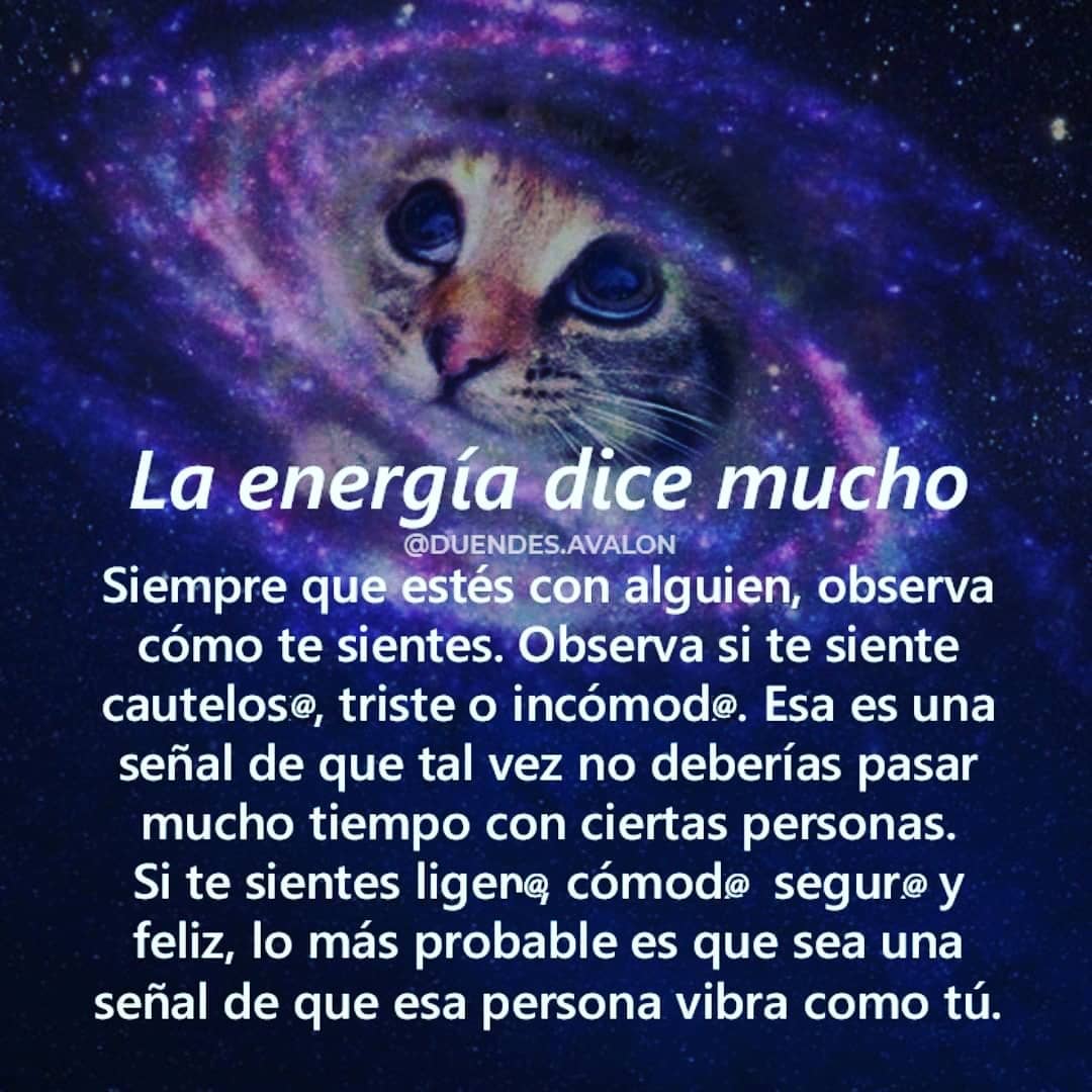 La energía dice mucho. Siempre que estés con alguien, observa cómo te sientes. Observa si te siente cautelos@, triste o incómod@. Esa es una señal de que tal vez no deberías pasar mucho tiempo con ciertas personas. Si te sientes ligen@, cómod@, segur@ y feliz, lo más probable es que sea una señal de que esa persona vibra como tú.