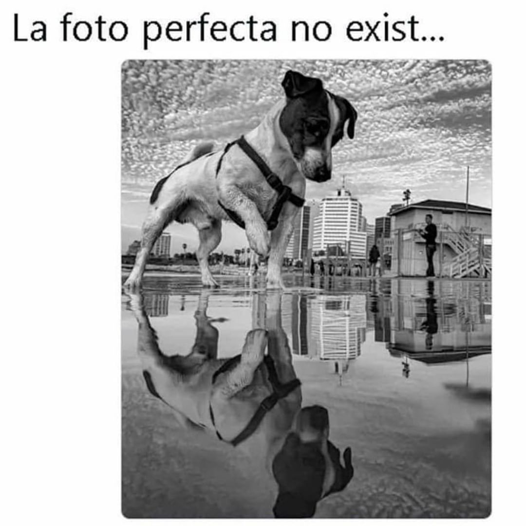 La foto perfecta no exist...