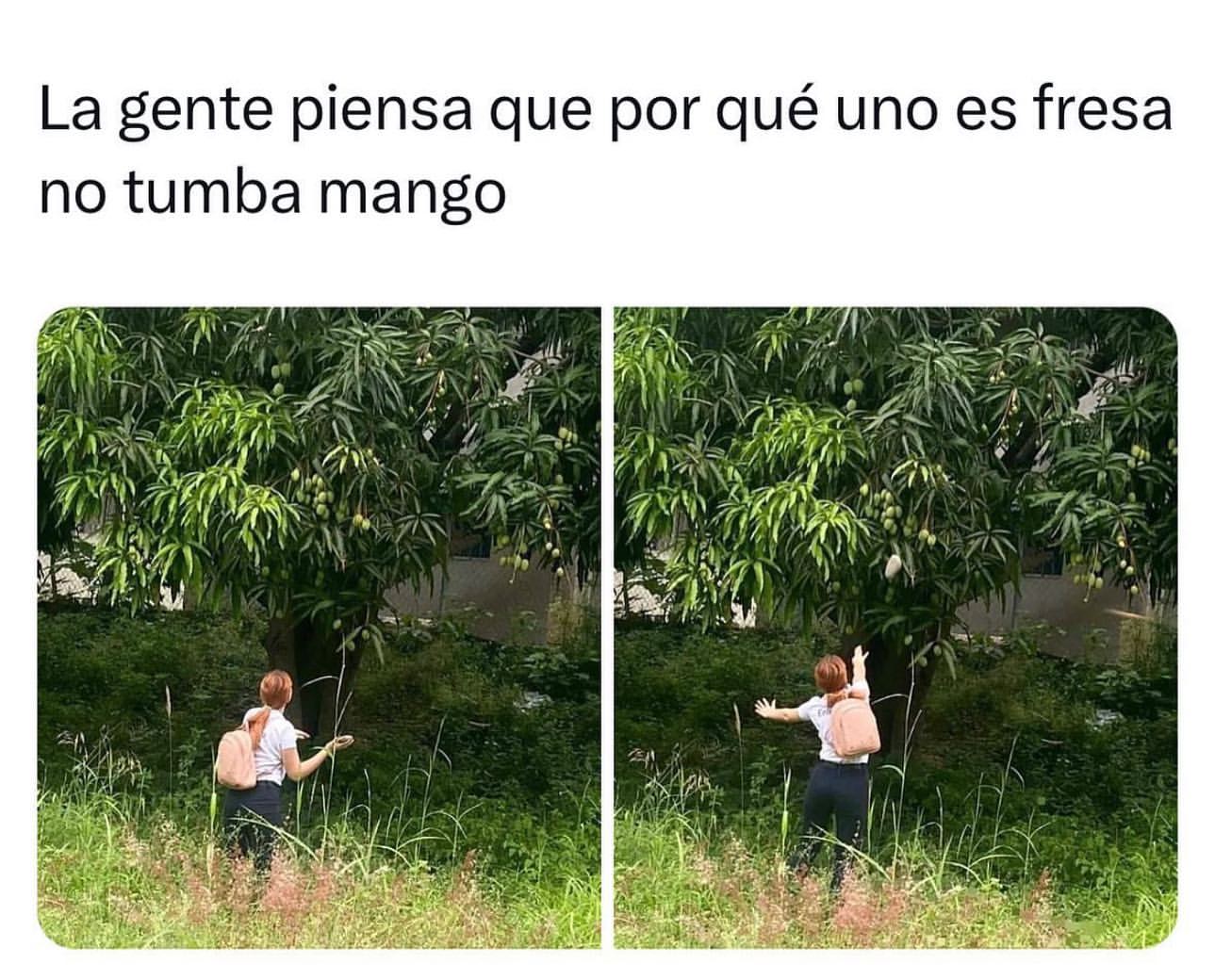 La gente piensa que por qué uno es fresa no tumba mango.