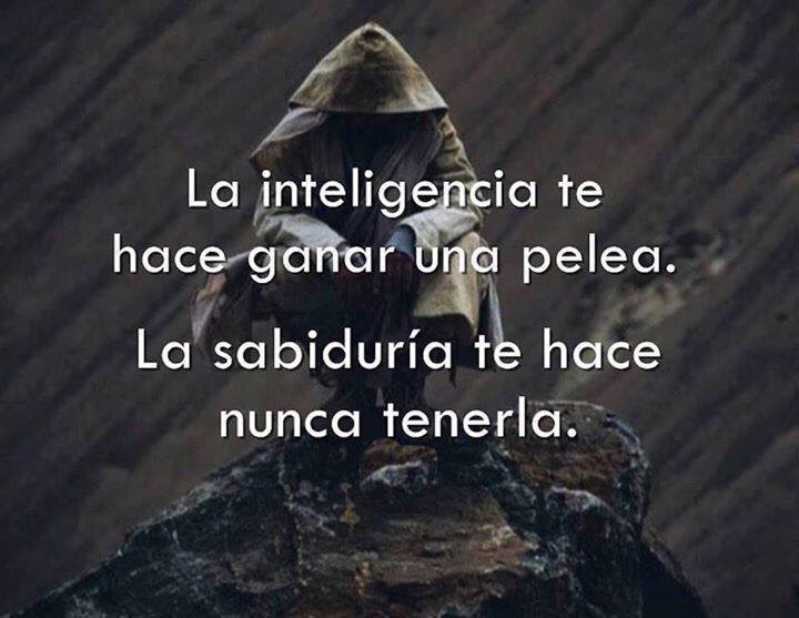 La inteligencia te hace ganar una pelea. La sabiduría te hace nunca tenerla.