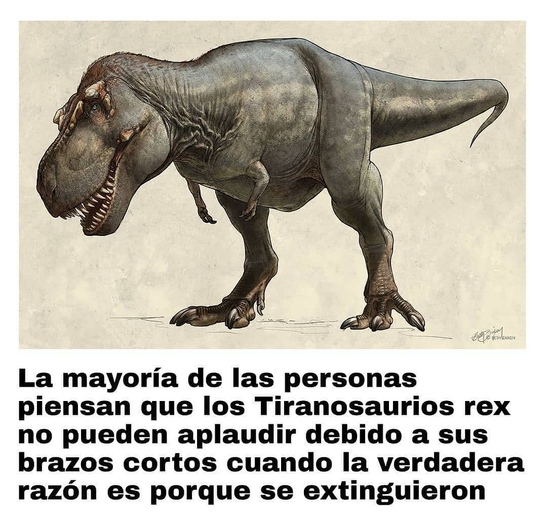 La mayoría de las personas piensan que los Tiranosaurios Rex no pueden aplaudir debido a sus brazos cortos cuando la verdadera razón es porque se extinguieron.