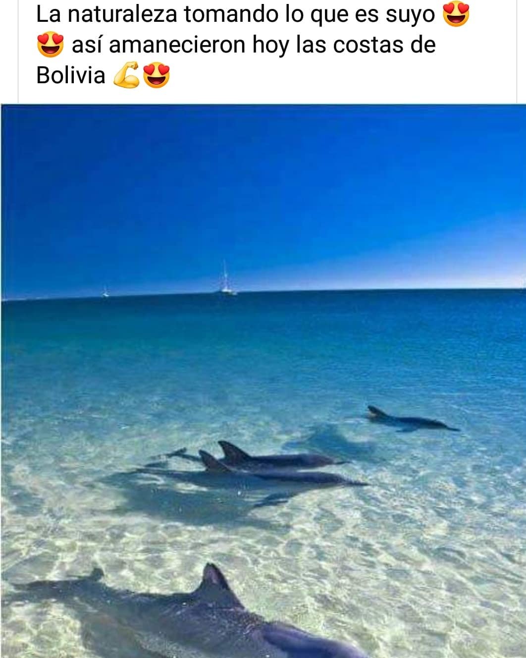 La naturaleza tomando lo que es suyo. Así amanecieron hoy las costas de Bolivia.