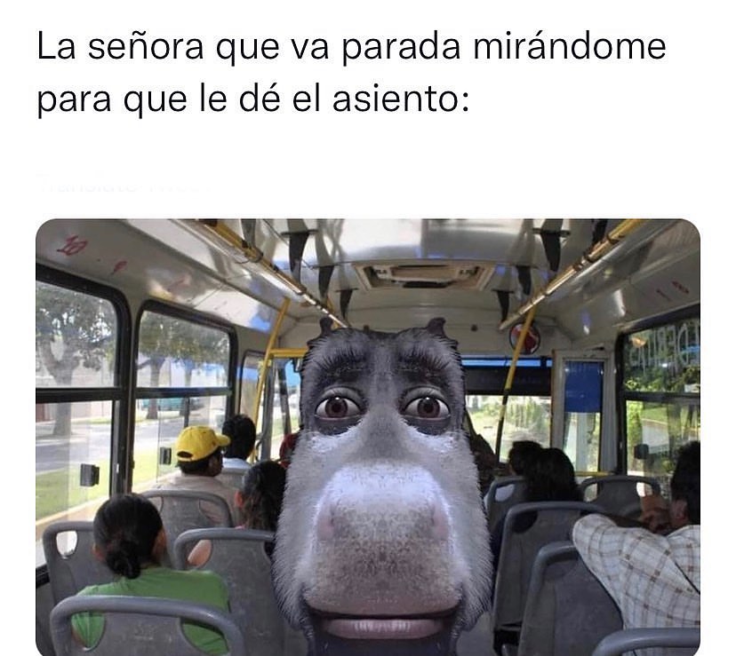 La señora que va parada mirándome para que le dé el asiento: