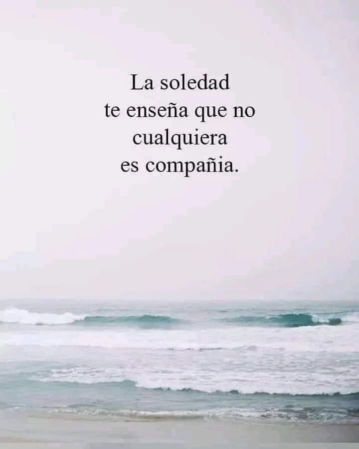 La soledad te enseña que no cualquiera es compañía.