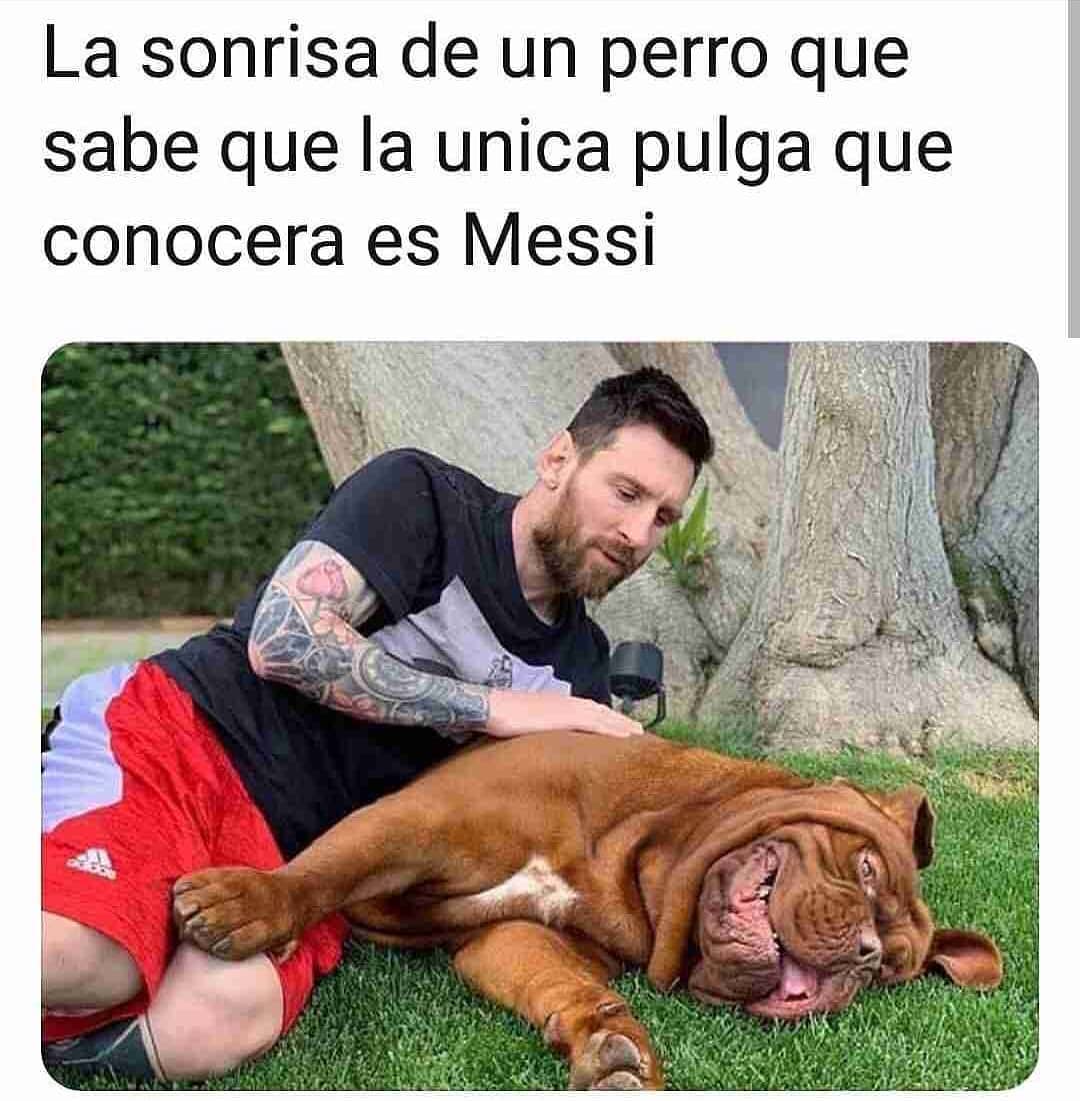 La sonrisa de un perro que sabe que la única pulga que conocerá es Messi.