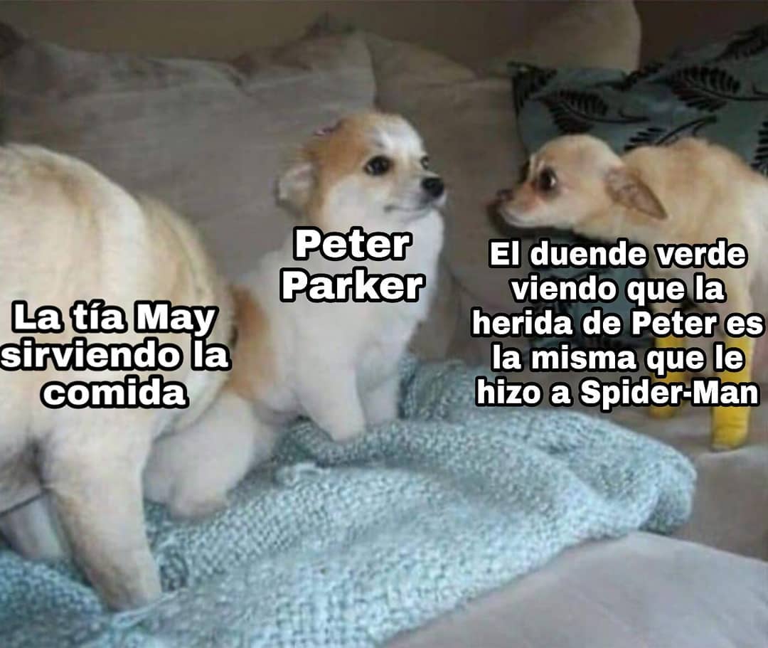 La tía Mary sirviendo la comida. Peter Parker. El duende verde viendo que la herida de Perter es la misma que le hizo a Spider-Man.