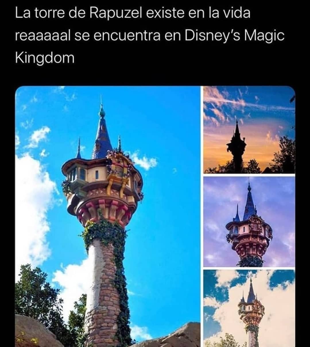 La torre de Rapuzel existe en la vida reaaaaal se encuentra en Disney's MagiC Kingdom.