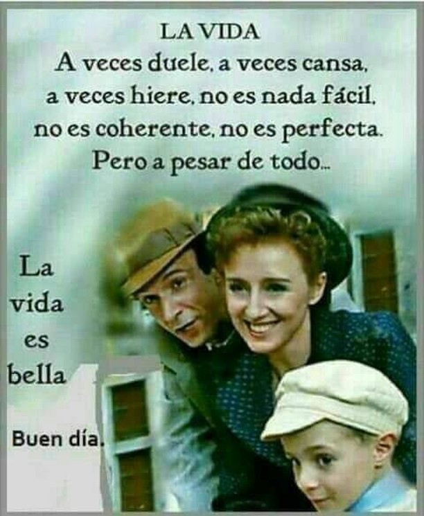 La vida. A veces duele. A veces cansa, a veces hiere. No es nada fácil. No es coherente. No es perfecta. Pero a pesar de todo... La vida es bella. Buen día.