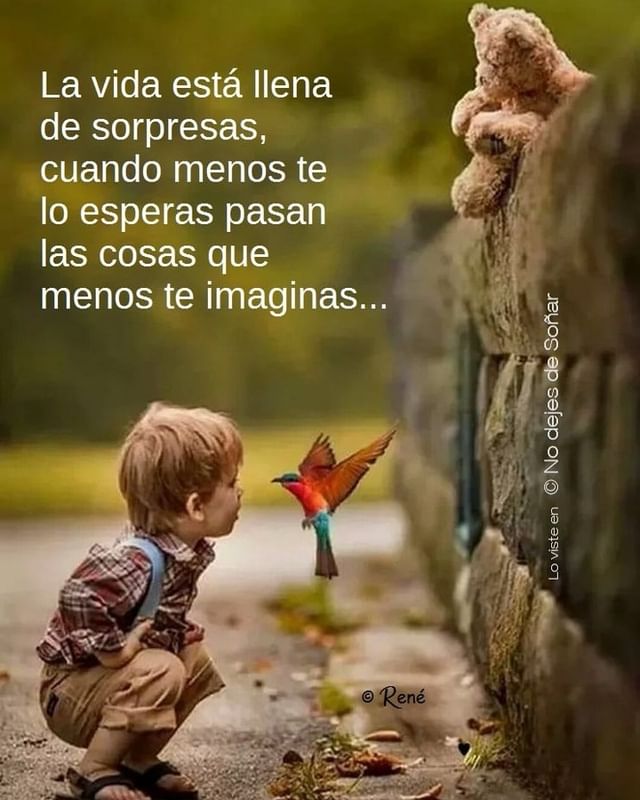 La vida está llena de sorpresas, cuando menos te lo esperas pasan las cosas  que menos te imaginas... - Frases