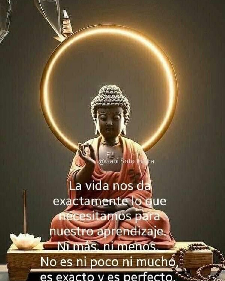 La vida nos da exactamente lo que necesitamos para nuestro aprendizaje. Ni más, ni menos. No es ni poco ni mucho, es exacto y es perfecto.