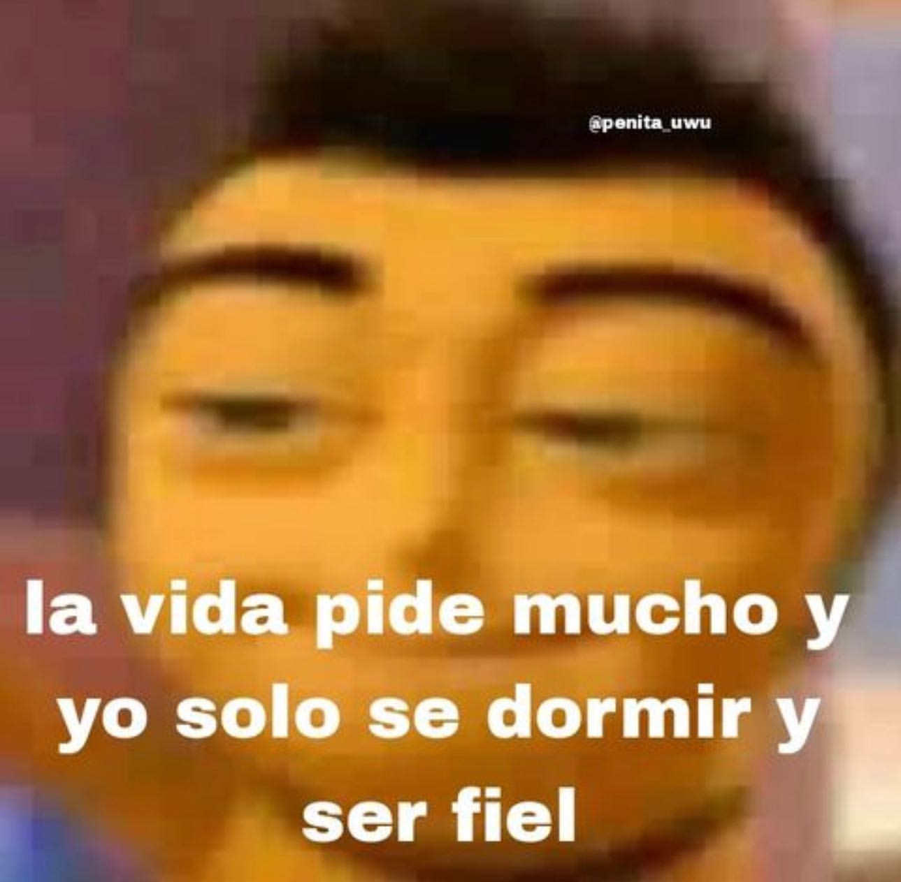 La vida pide mucho y yo solo sé dormir y ser fiel.