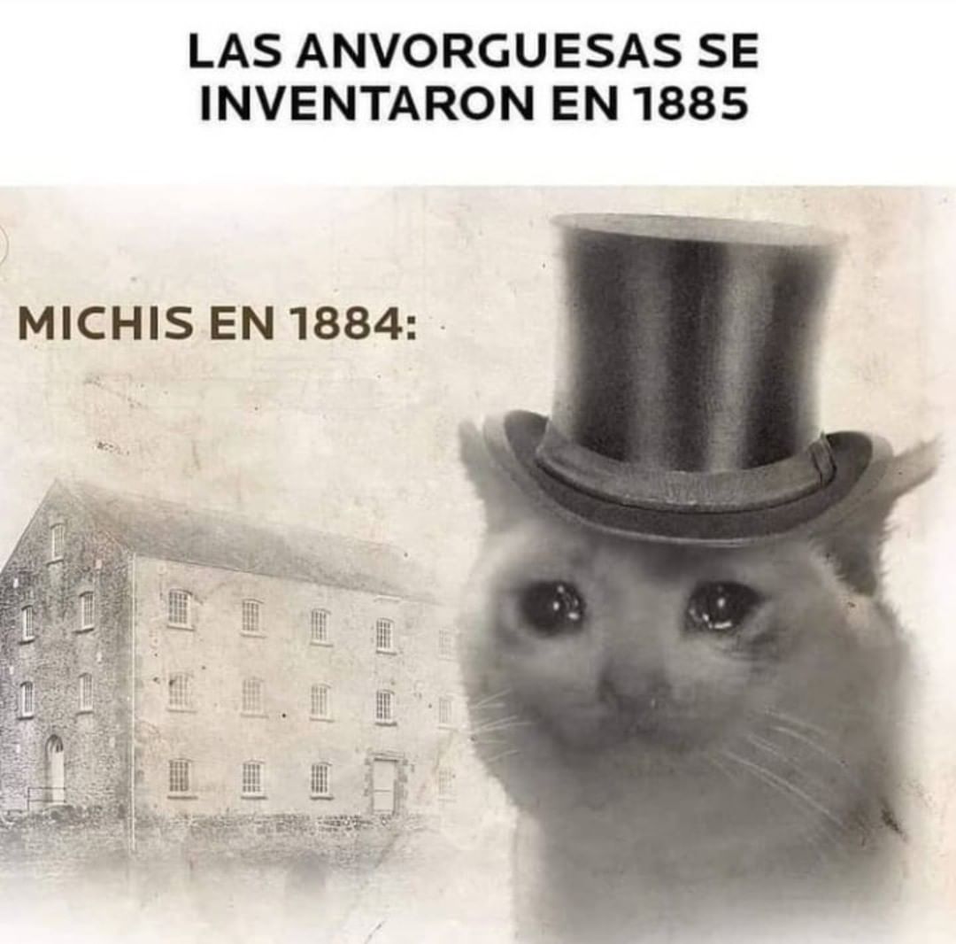 Las anvorguesas se inventaron en 1885.  Michis en 1884.