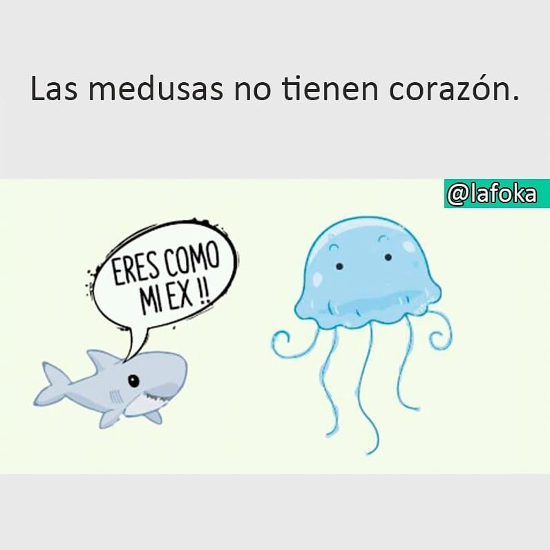 Las medusas no tienen corazón.  Eres como mi ex!!