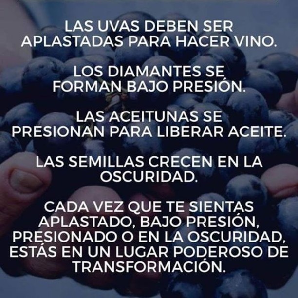 Las uvas deben ser aplastadas para hacer vino. Los diamantes se forman bajo presión. Las aceitunas se presionan para liberar aceite. Las semillas crecen en la oscuridad. Cada vez que te sientas aplastado, bajo presión, presionado o en la oscuridad, estás en un lugar poderoso de transformación.