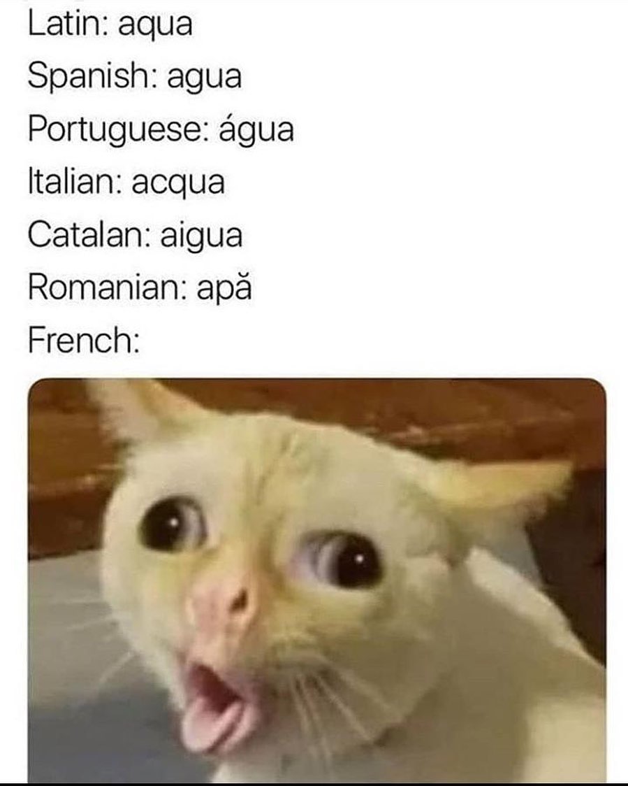 Latin: aqua.  Spanish: agua.  Portuguese: água.  Italian: acqua.  Catalan: aigua.  Romanian: apa.  French: