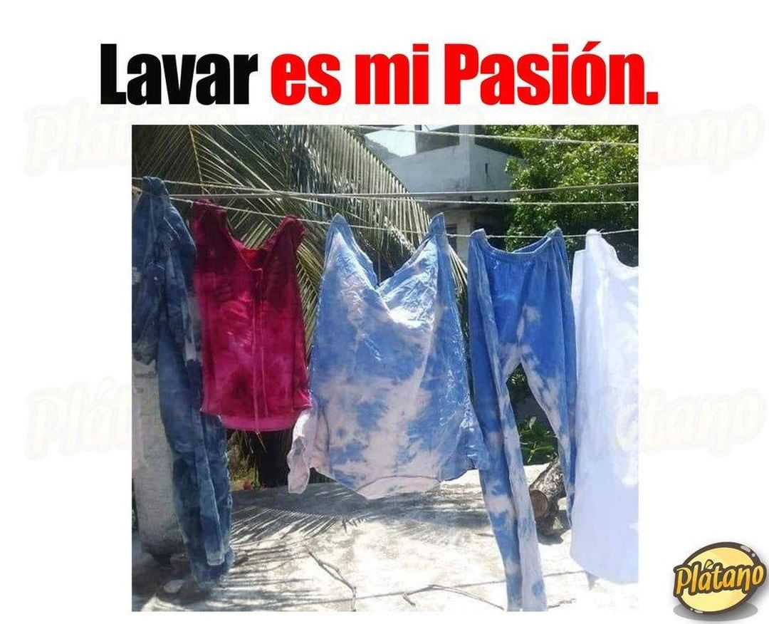 Lavar es mi pasión.