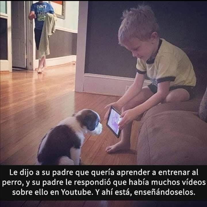 Le dijo a su padre que quería aprender a entrenar al perro, y su padre le respondió que había muchos vídeos sobre ello en Youtube. Y ahí está, enseñándoselos.
