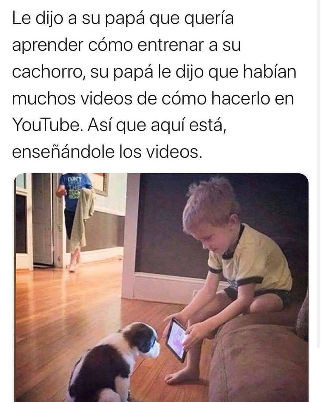 Le dijo a su papá que quería aprender cómo entrenar a su cachorro, su papá le dijo que habían muchos videos de cómo hacerlo en YouTube. Así que aquí está enseñándole los videos.