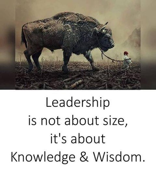 Leadership is not about size it's about knowledge & wisdom.